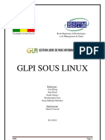 Rapport GLPI