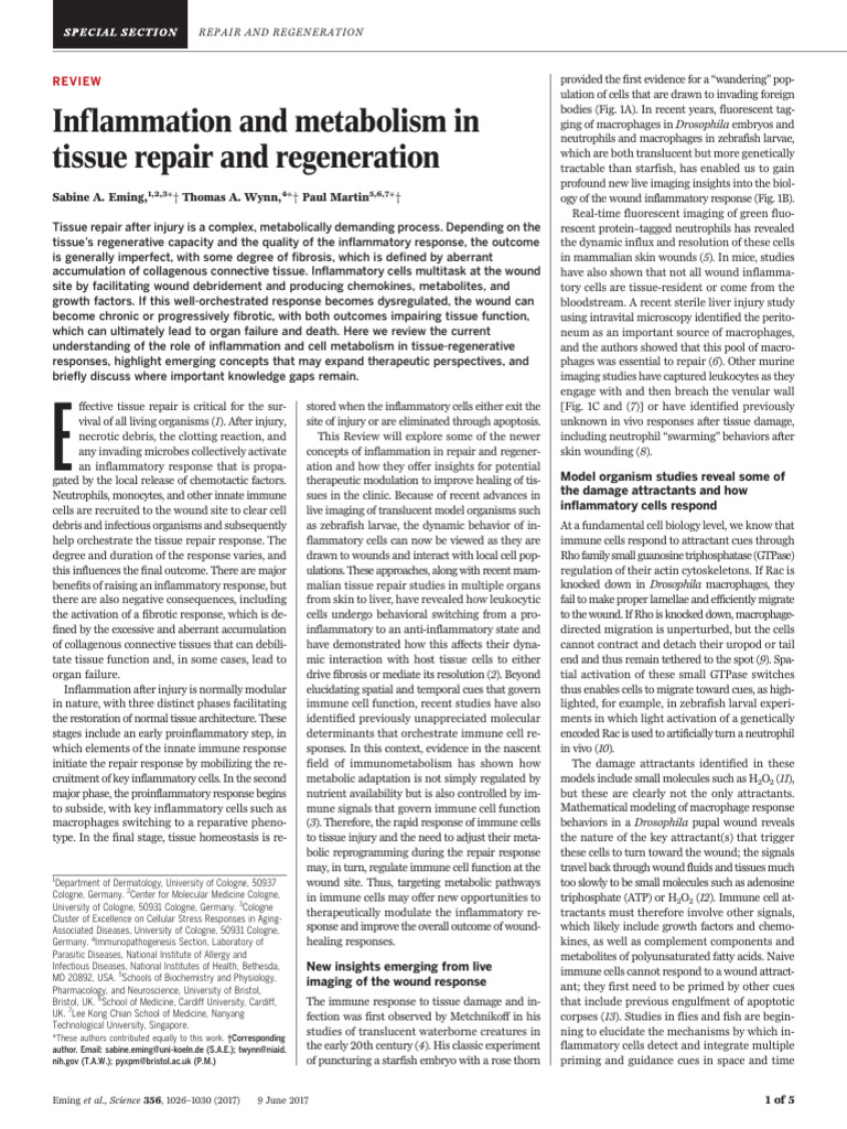 Inflammation and metabolism in tissue repair and regeneration | PDF ...