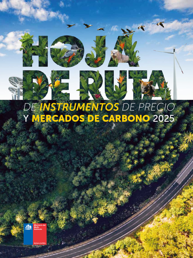 Hoja de Ruta de Instrumentos de Precio y Mercado de Carbono | PDF ...