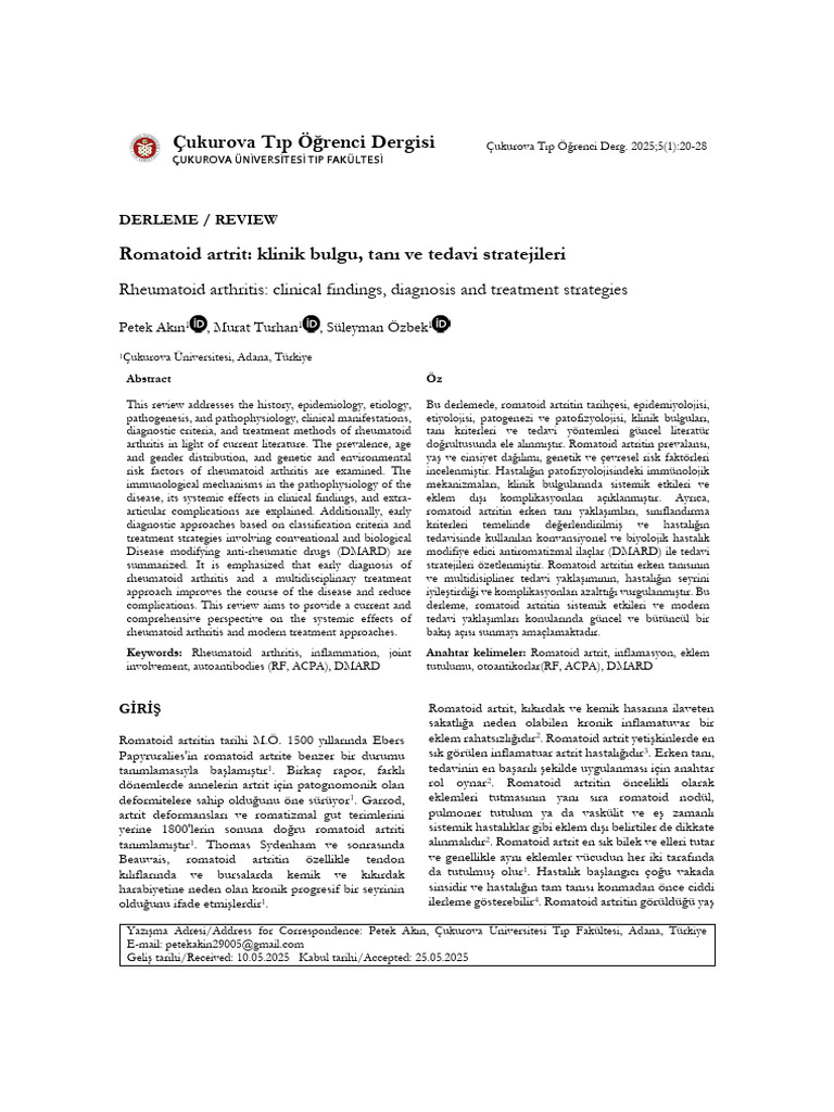 04_ PETEK AKIN | PDF