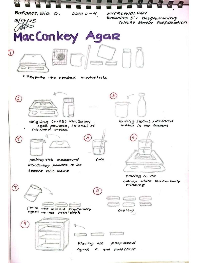 Exercise 5 | PDF