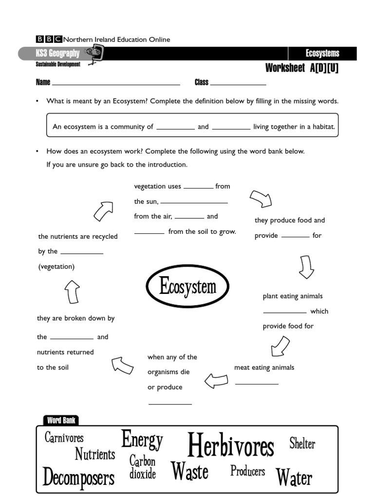Ecosystems Worksheets Ecosystem Environmental Science