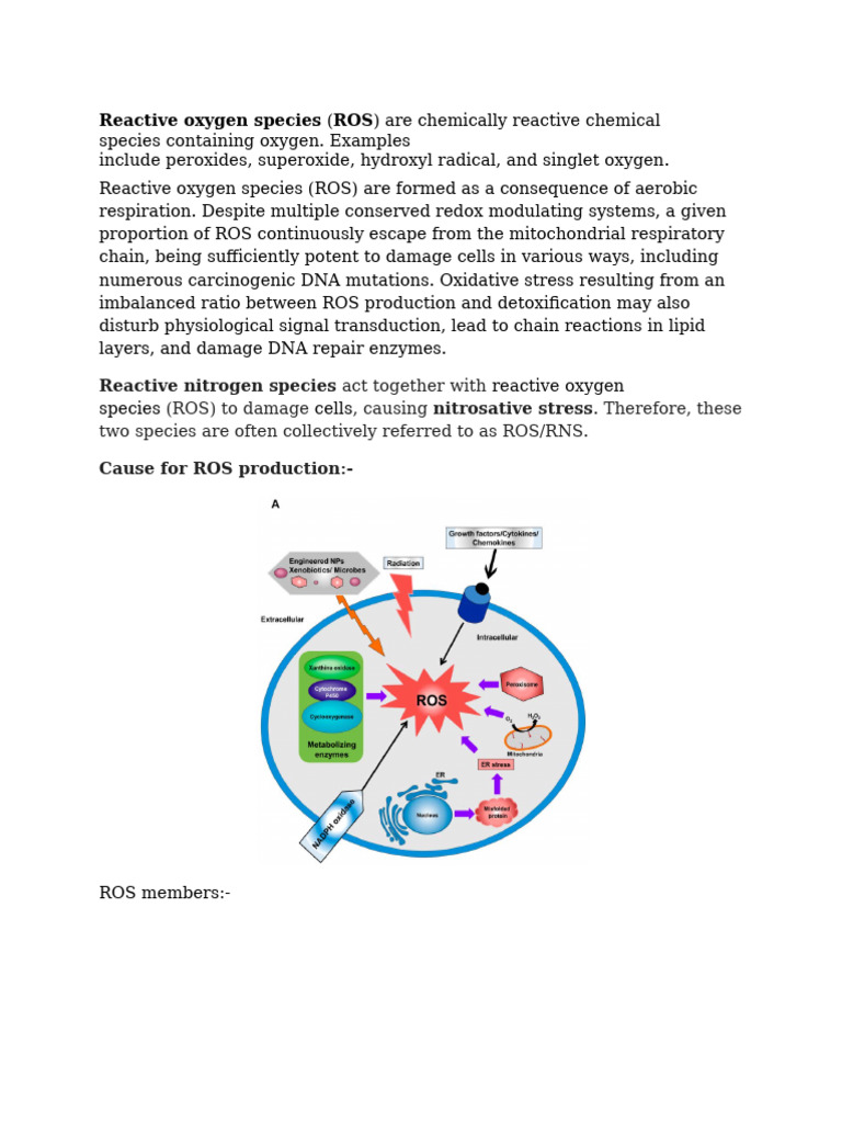 Reactive Oxygen Species and Reactive Nitrogen Species - On Page 65 | PDF