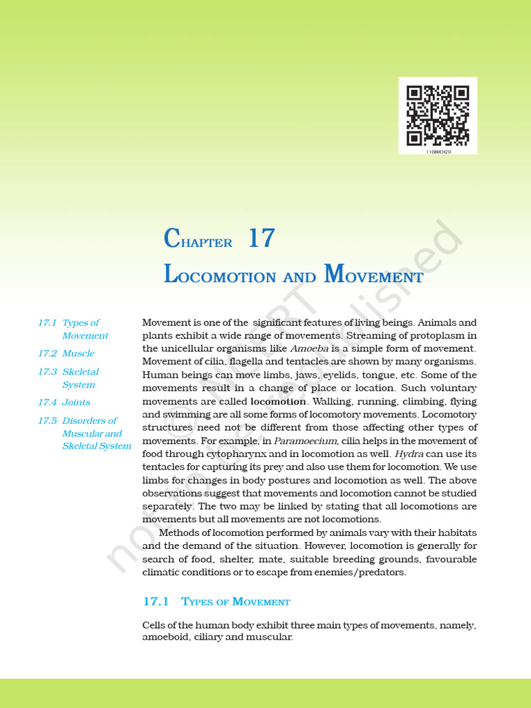 chapter 5 | PDF | Muscle Contraction | Skeletal Muscle