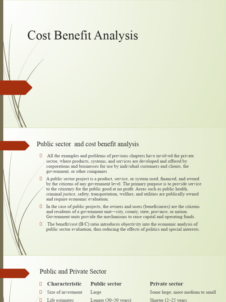 Cost Benefit Analysis | PDF | Cost–Benefit Analysis | Interest