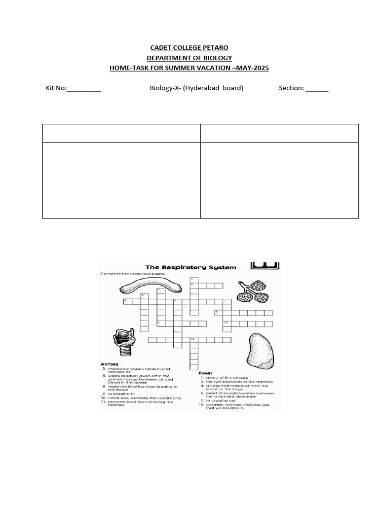 Class 10 Summer Tasks For All Subjects | PDF | Chemical Equilibrium | Sound