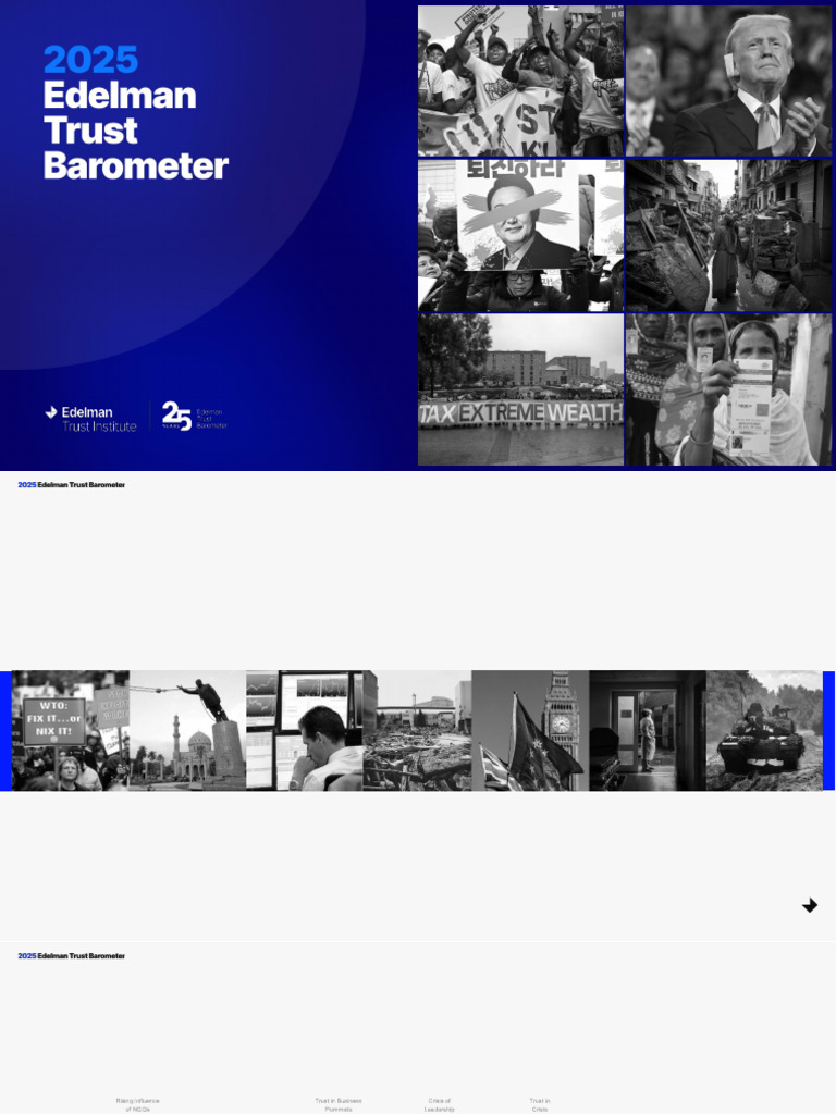 2025 Edelman Trust Barometer_Japan Report (ENG) | PDF | Margin Of Error ...