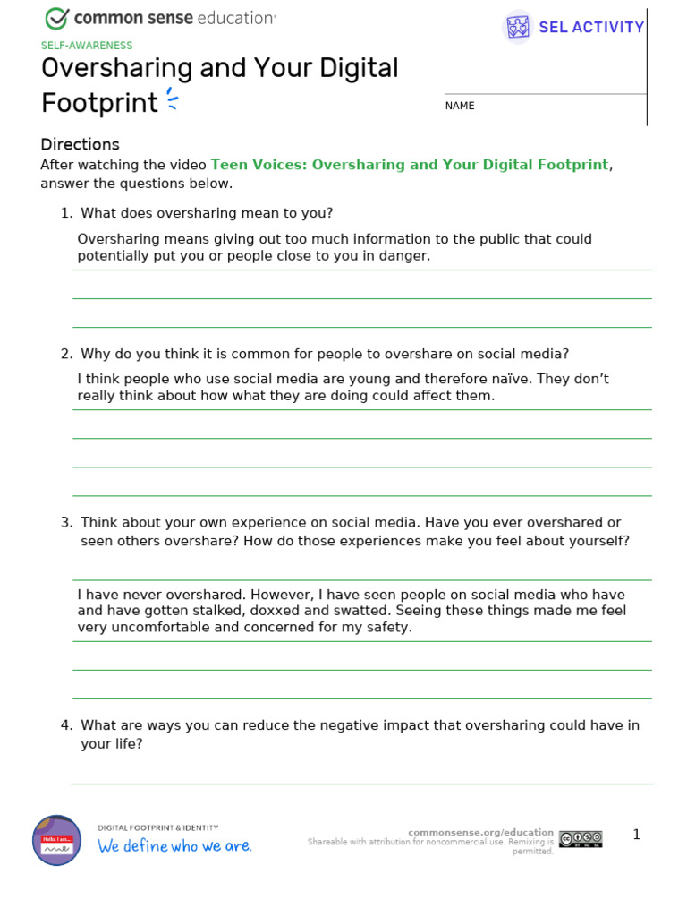Digital Footprint Handout | PDF