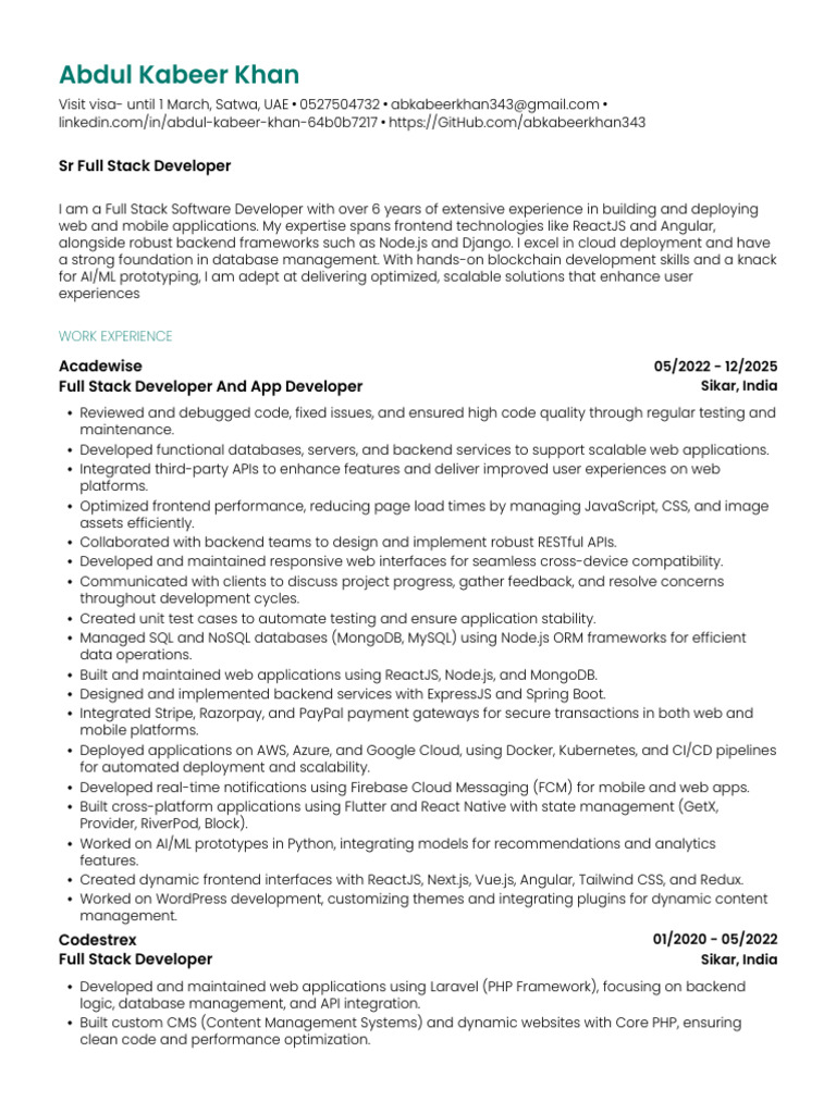 Software Developer | PDF | Computer Programming | Computing