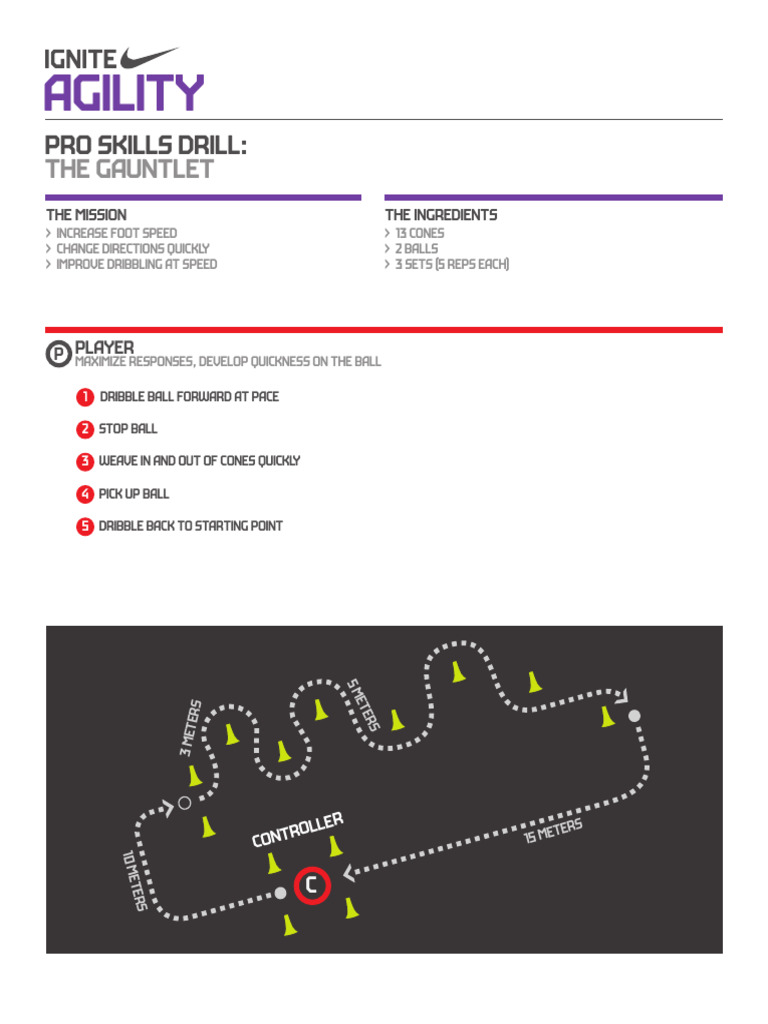 Agility ProSkill Gauntlet | PDF