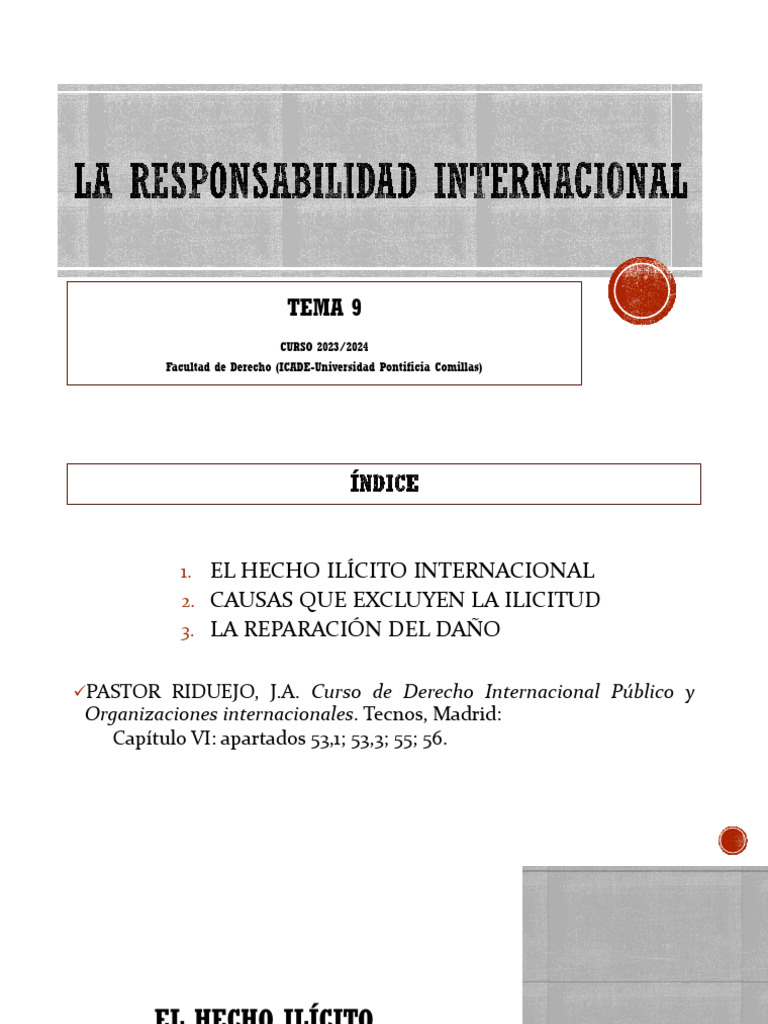 Tema 5 DIP - 2023 | PDF | Estado (política) | Justicia