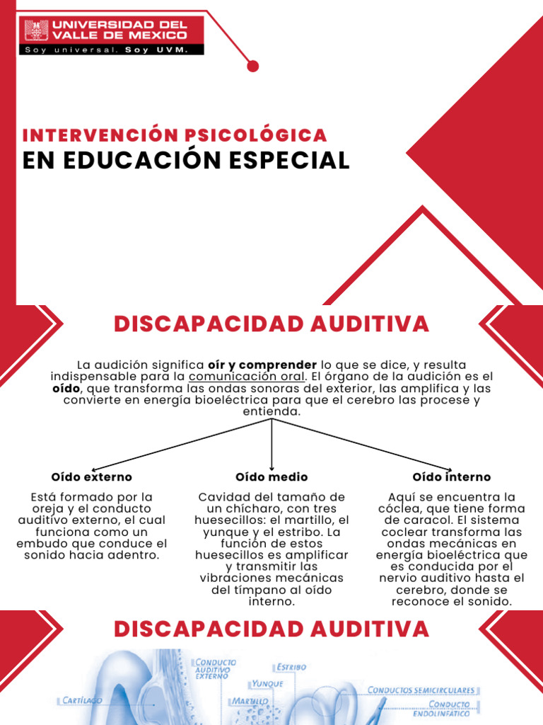 Discapacidad Auditiva | PDF | Escuchando | Sonido