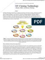 Gateway Cloning Techonology Overview