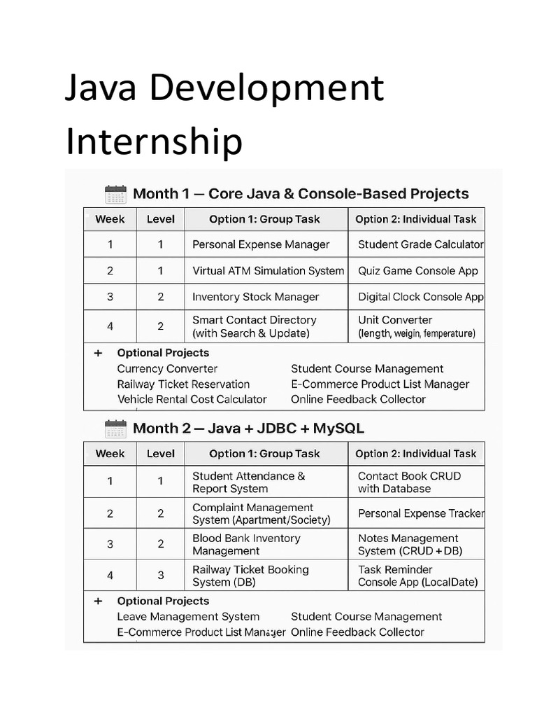 Java Development Internship Project | PDF