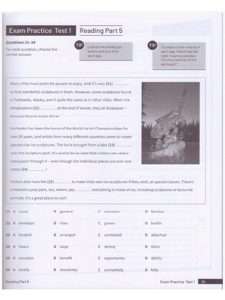 Part5 y 6 | PDF