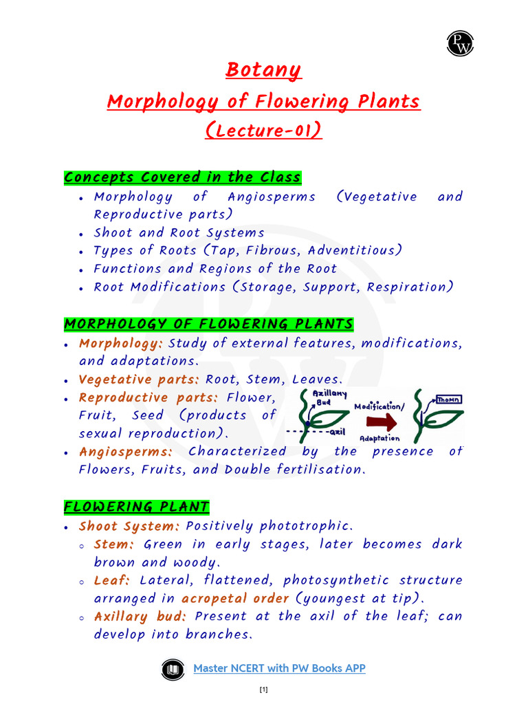 Morphology of Flowering Plants 01 Summary Notes | PDF | Root | Biology