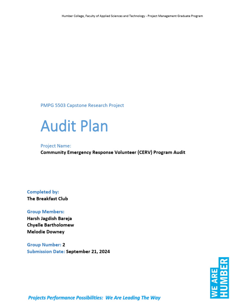 Audit Plan - Group #2 | PDF | Project Management | Procurement