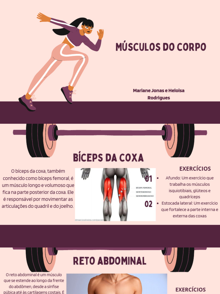 Trabalho de Educação Física | PDF