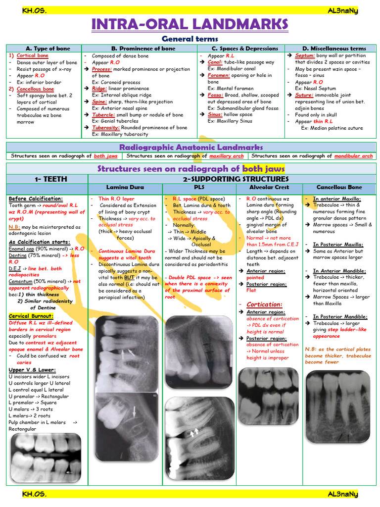 7 Intra-Oral Landmarks | PDF | Dental Anatomy | Bone
