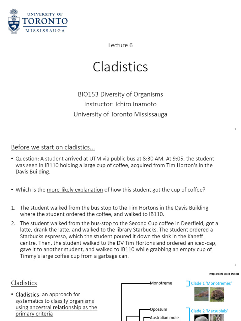BIO153 Lecture 6 Updated | PDF | Algae | Evolution