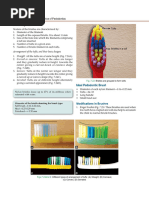 Charters and Fones Brushing Techniques | PDF | Toothbrush | Medical ...