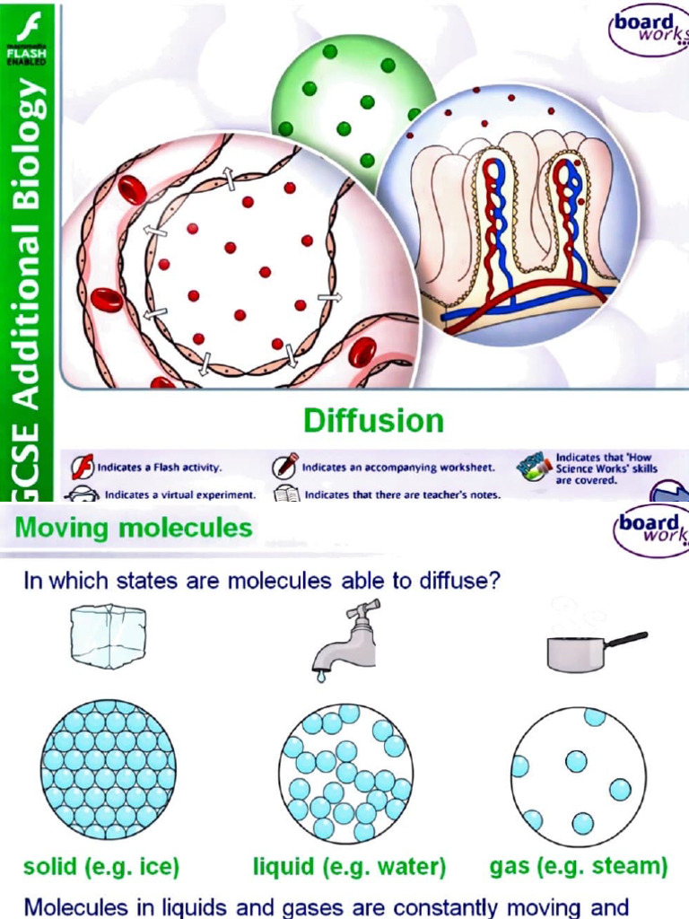 17 Oct 2022 Notes | PDF | Diffusion | Gases