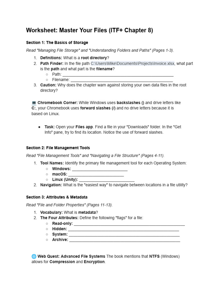 Master Your Files (ITF+ Chapter 8) | PDF | Computer File | File System