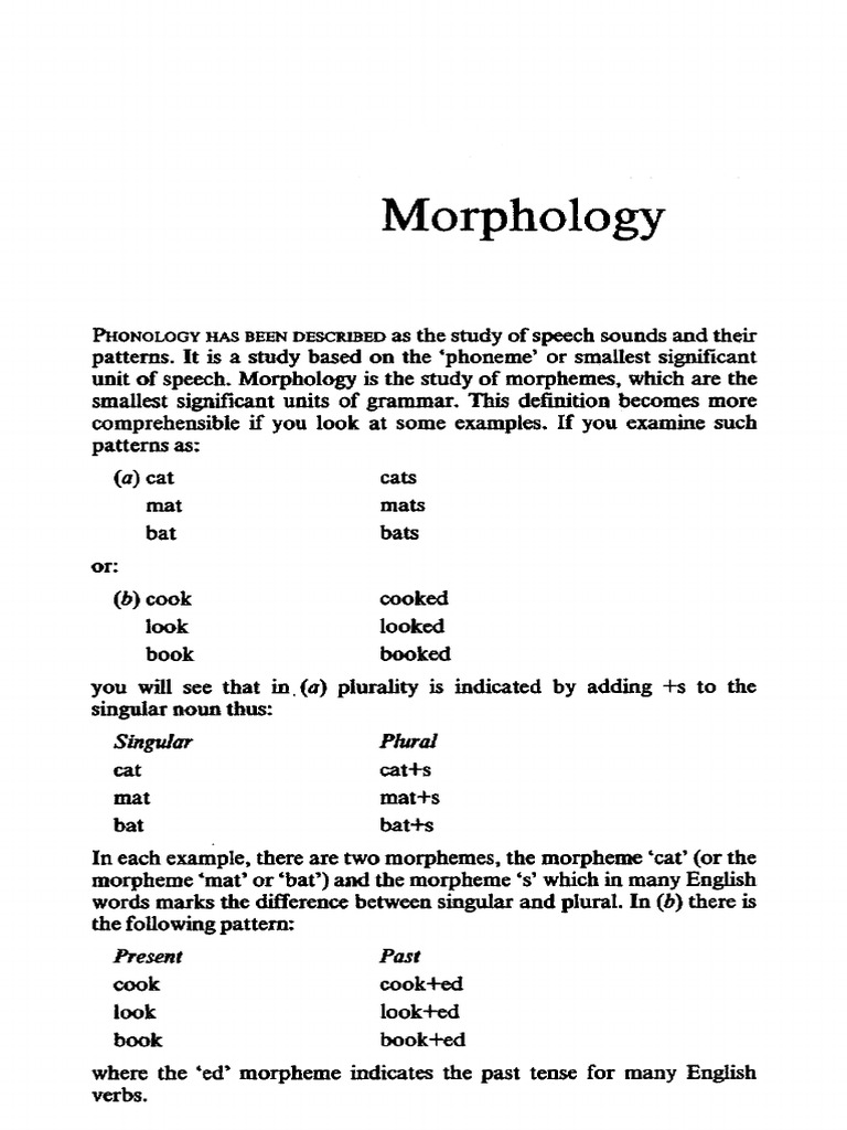 4 Morphology | PDF | Morphology (Linguistics) | Word