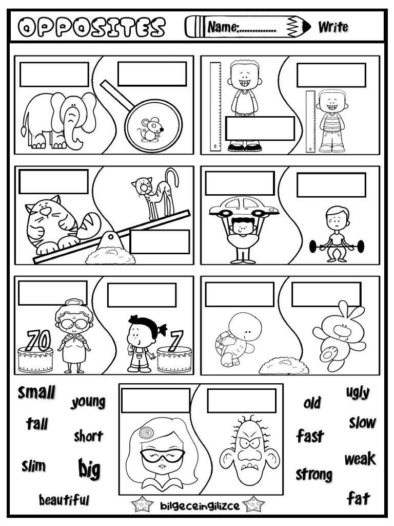 Opposites Write | PDF