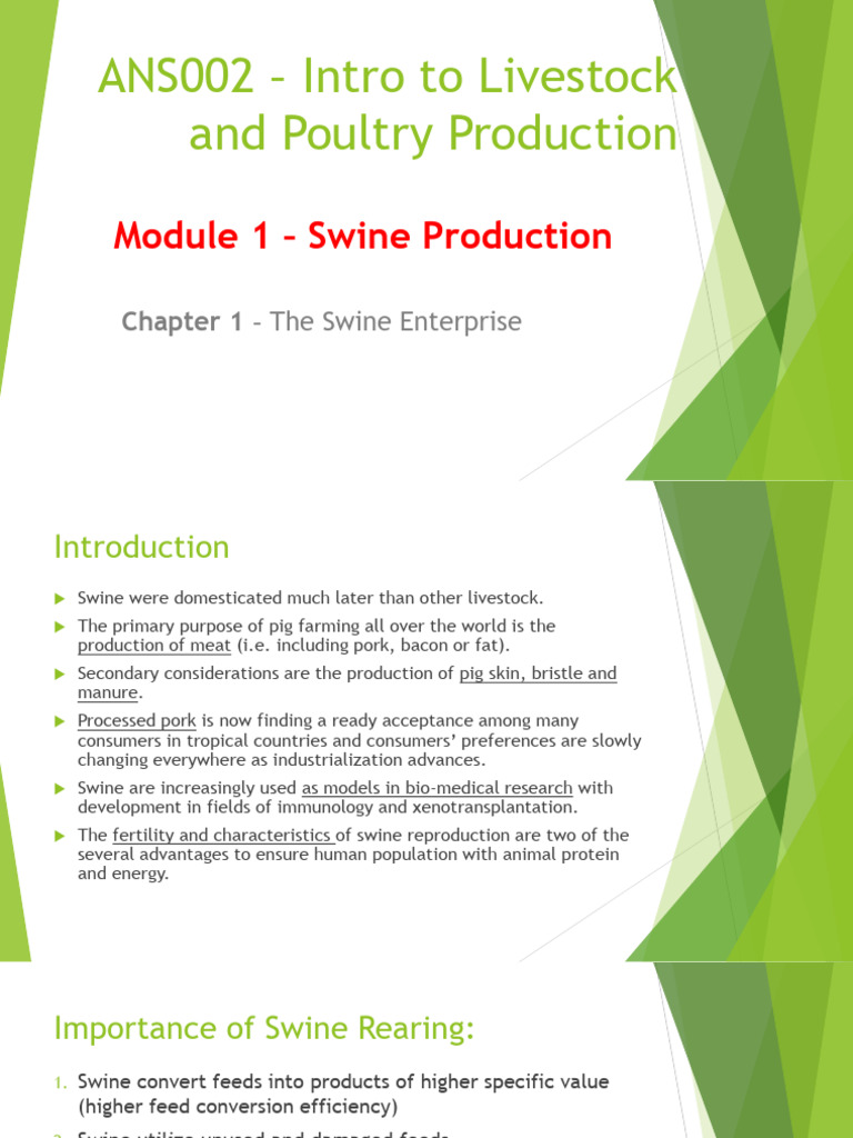Chapter 1 The Swine Enterprise | PDF | Pig | Wild Boar