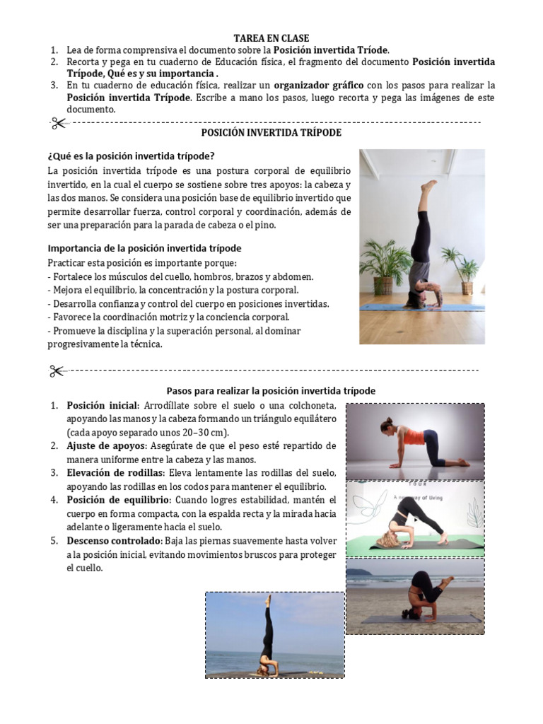 Posición Invertida Trípode | PDF