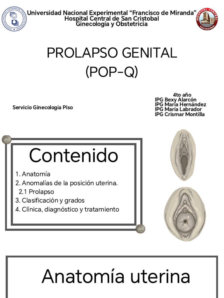 Pop Q | PDF | Útero | Sistema Reproductor Femenino Mamífero