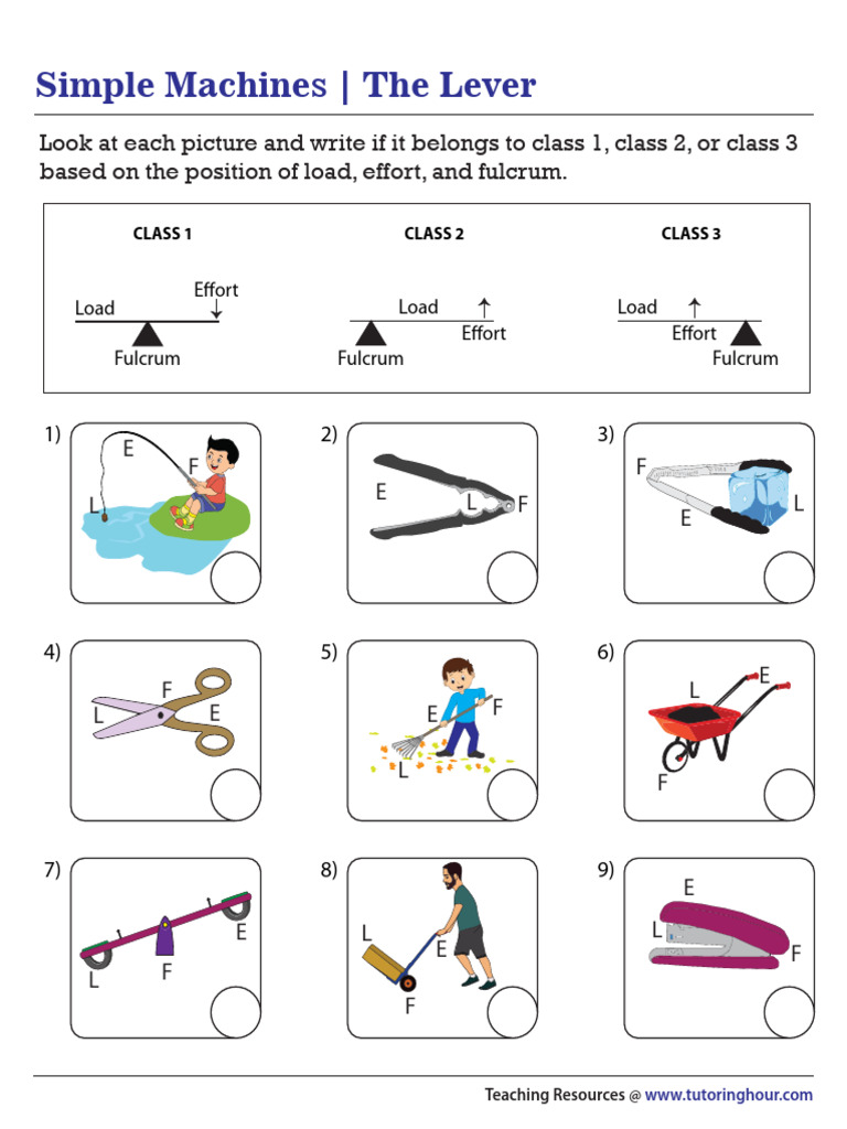 Identifying Lever Class | PDF