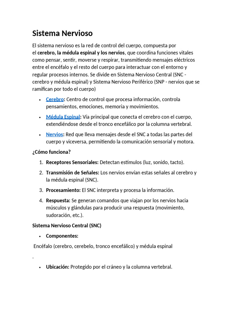 Sistema Nervioso y Neuronas | PDF | Sinapsis | Neurona