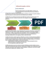 PAT Resumen+de+Inflamacion