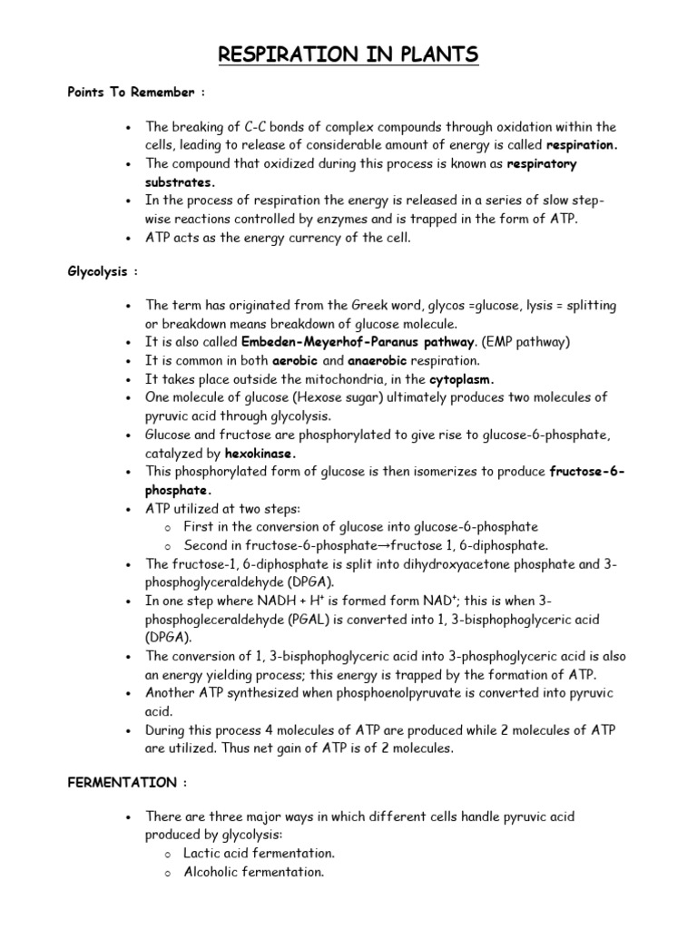 10.respiration in Plants | PDF | Cellular Respiration | Diet & Nutrition