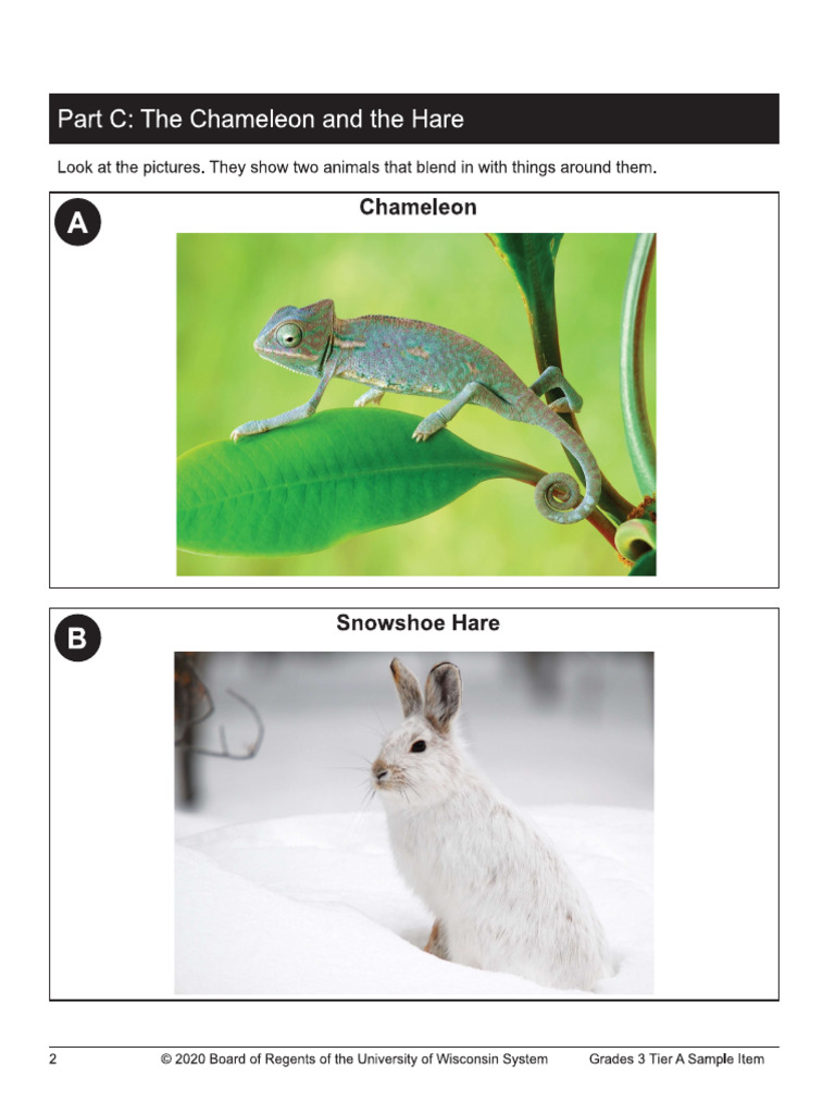 Homework | PDF