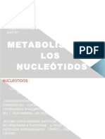 Mertabolismo de Nucleotidos I