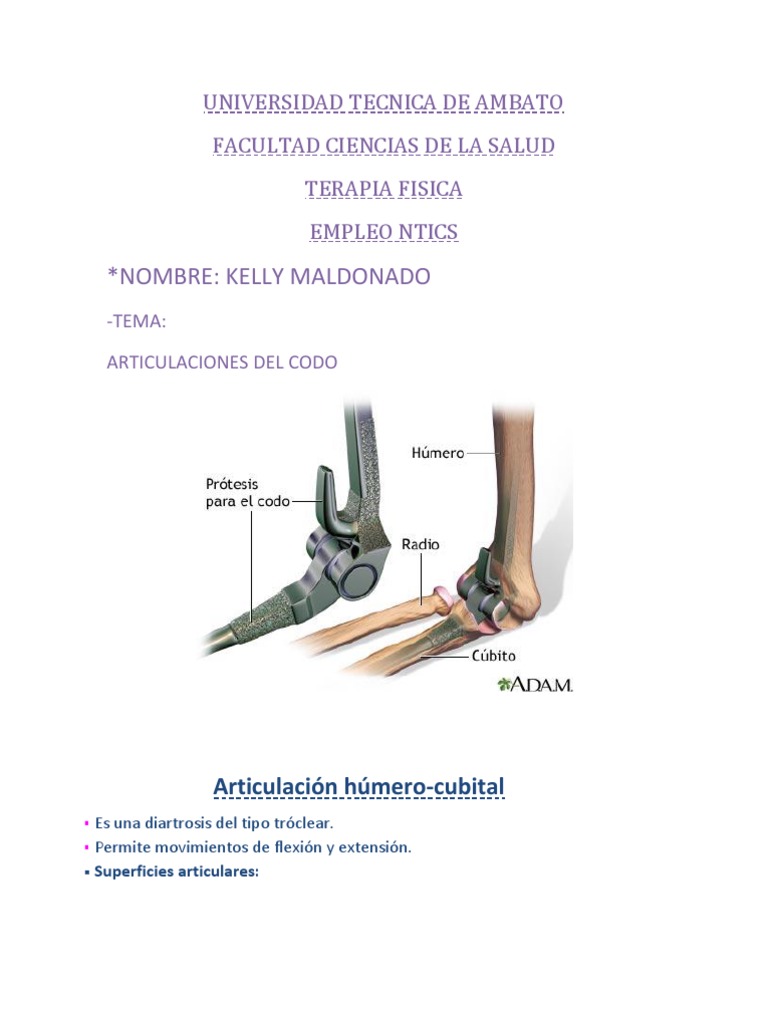Art Del Codo | Codo | Anatomía humana
