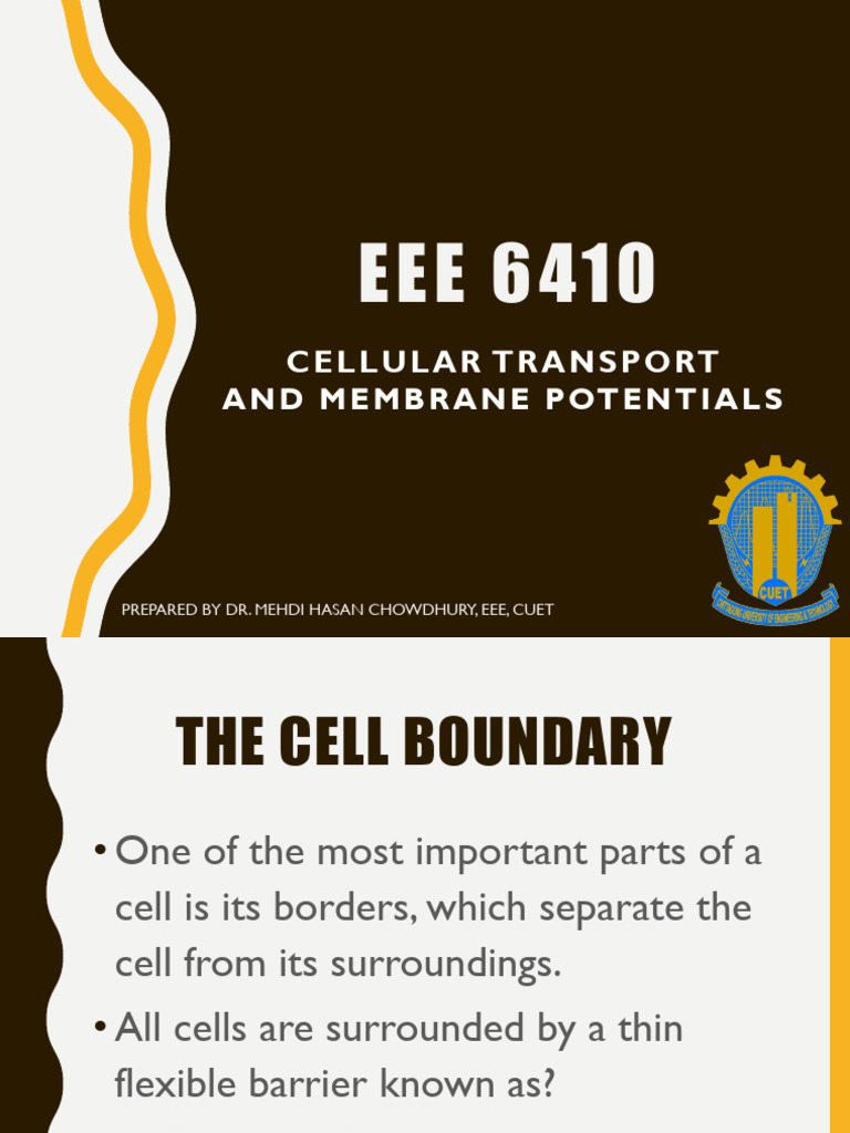 Cellular Transport and Membrane Potentials | PDF | Membrane Potential ...