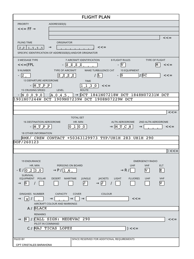 Flight Plan | PDF