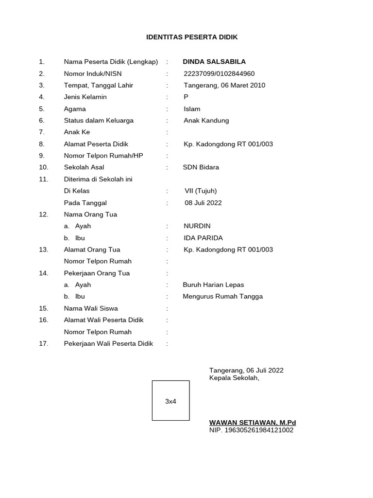 Format Raport | PDF
