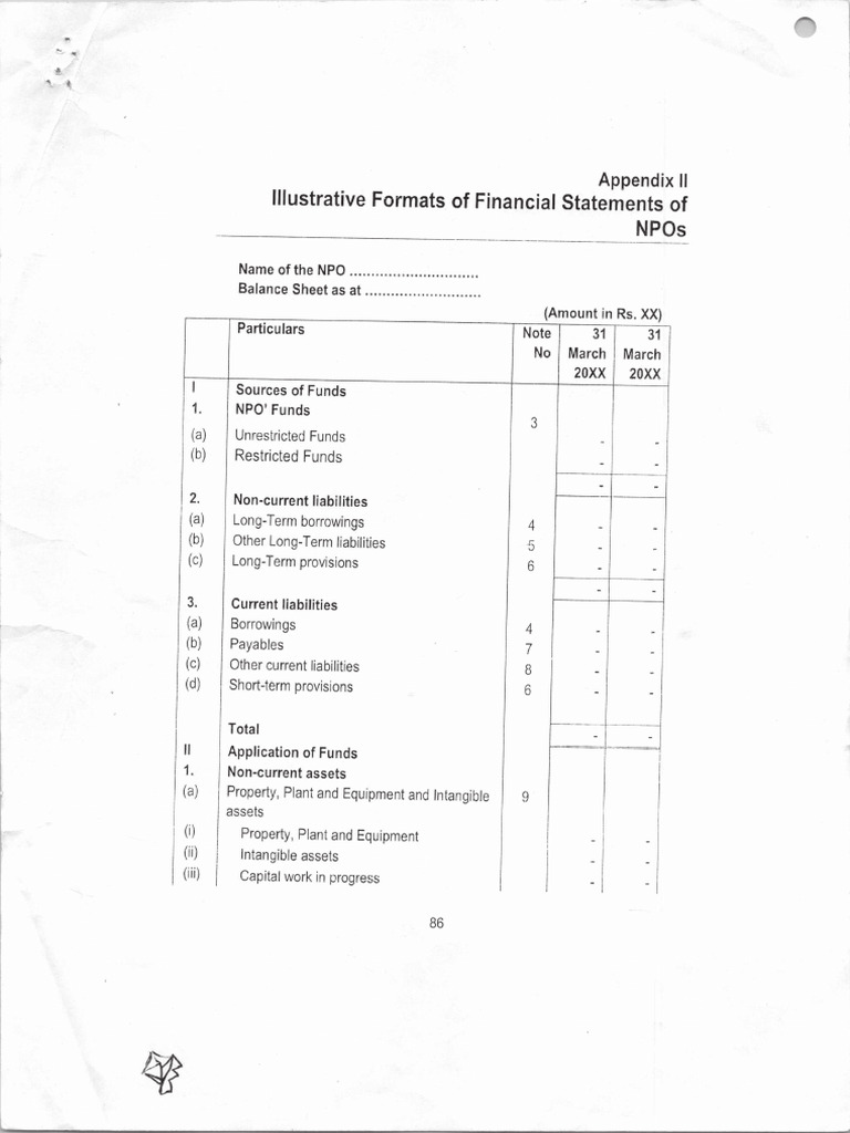 Npo Format V1 | PDF