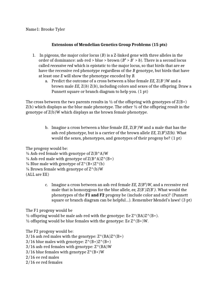 Extensions of Basic Principles Group Problems | PDF | Dominance ...