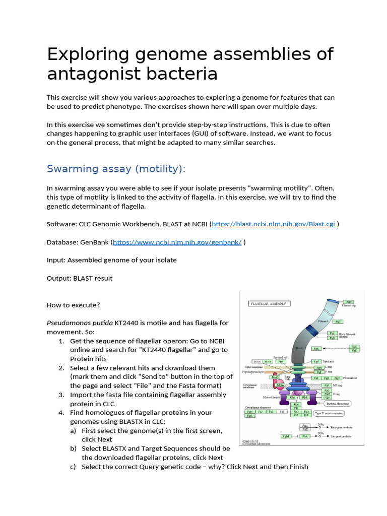 WK4 Bioinformatics Exercise 2025 | PDF | 16 S Ribosomal Rna | Ribosomal Rna