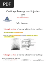 AutoCart™: Autologous Cartilage Regeneration | PDF | Tissue Engineering ...
