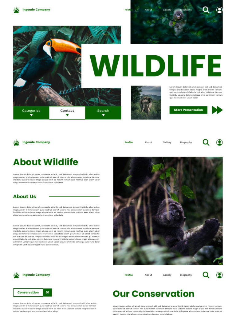 Green Modern Wildlife Presentation | PDF
