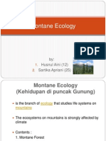Presentasi Montane Ecology