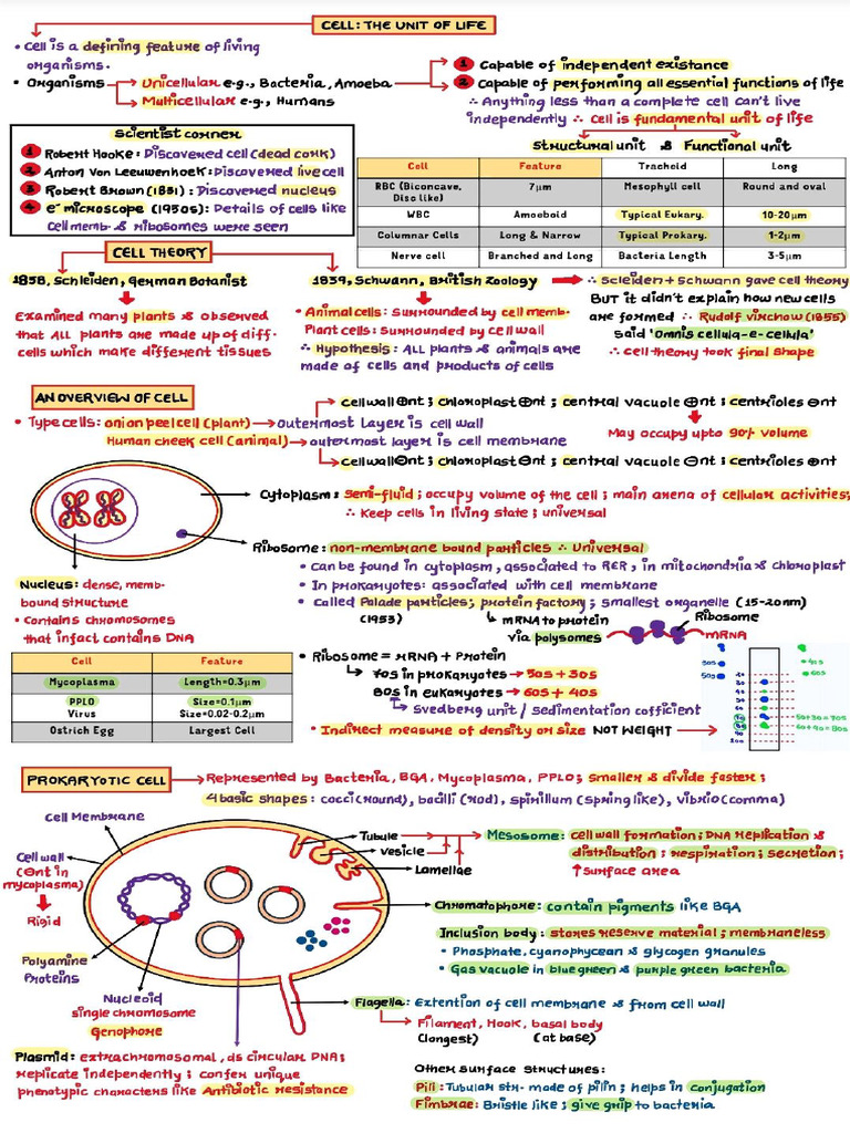 Cell The Unit of Life | PDF
