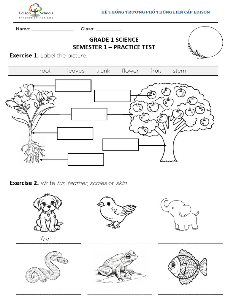 Grade 1 - Review For Final Test 2 (WS) | PDF